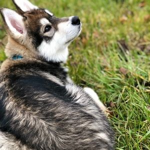 Meet your Posher, Destiny